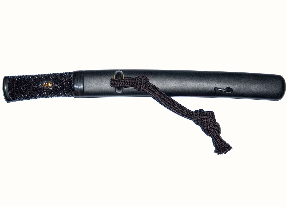 Pavel Bolf - Tanto v aikuchi koshirae