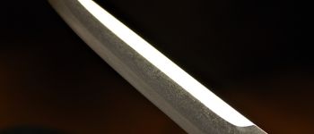 Pavel Bolf - Tanto aikuchi dashi zame koshirae