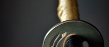 Pavel Bolf - KKatana in uchigatana koshirae in Nambokucho style of Gassan school, Tsuba