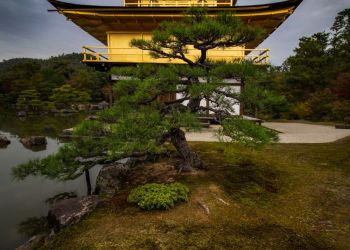 Pavel Bolf, way to Japan