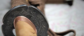 Pavel Bolf - O-wakizashi, tensho koshirae, Tsuba