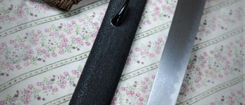 Pavel Bolf - Sunobi tanto in the style of the Mino school