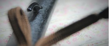 Pavel Bolf - O-wakizashi, tensho koshirae, kearizuno