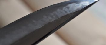 Pavel Bolf - Kaiken tanto