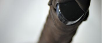 Pavel Bolf - Ichimonji katana tsuba