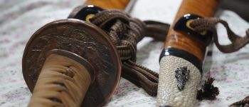 Pavel Bolf - Tanto in aikuchi koshirae