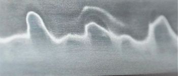 Pavel Bolf - Katana sunobe for tameshigiri, blade detail