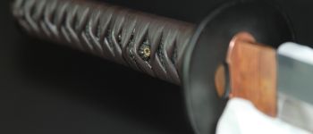 Pavel Bolf - katana in uchigatana koshirae, menuki