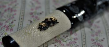 Pavel Bolf - Tanto aikuchi dashi zame koshirae