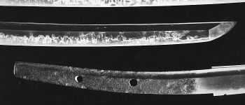 Tachi mumei Ichimonji: Gou "Sancyoumou"