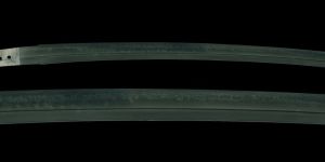 Pavel Bolf - Contrasty display wakizashi blade