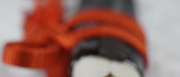 Pavel Bolf - Hira zukuri tanto in aikuchi koshirae