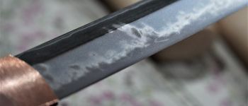 Pavel Bolf - Kaiken tanto