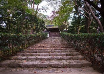 Pavel Bolf, way to Japan