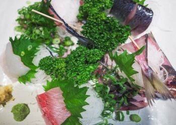 Pavel Bolf, way to Japan