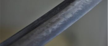 Pavel Bolf - Wakizashi shobu zukuri