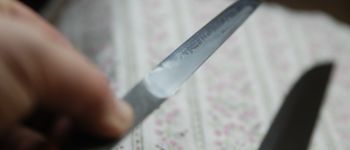 Pavel Bolf - Tanto, hira zukuri with kogatana