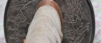 Pavel Bolf - katana tensho koshirae