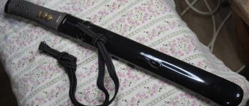 Pavel Bolf - Tanto in aikuchi koshirae