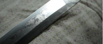 Pavel Bolf - Tachi v uchigatana koshirae, same saya