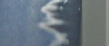 Pavel Bolf - Katana in Bizen school style, Iaito 