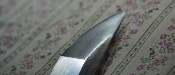 Pavel Bolf - katana v Sóshu stylu