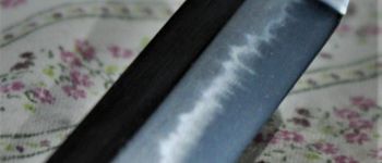 Pavel Bolf - Katana in the style of the Nambokucho period