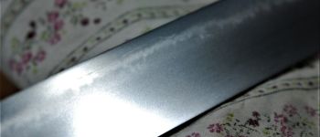 Pavel Bolf - Wakizashi shoto