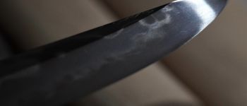 Pavel Bolf - Kaiken tanto