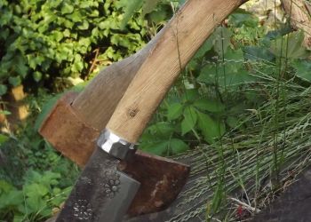 Pavel Bolf - Japanese Nata