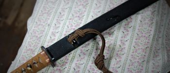 Pavel Bolf - Sunobi tanto in the style of the Mino school