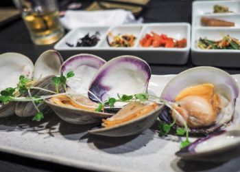 Pavel Bolf, way to Japan