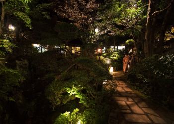 Pavel Bolf, way to Japan