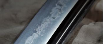 Pavel Bolf - Tachi in Ichimonji style