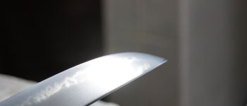 Pavel Bolf - Wakizashi shoto