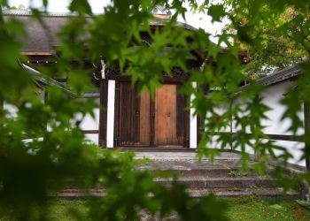 Pavel Bolf, way to Japan