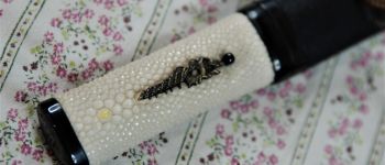 Pavel Bolf - Tanto, hira zukuri with kogatana