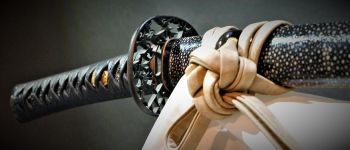 Pavel Bolf - Gassan katana detail tsuba