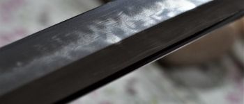 Pavel Bolf - Kaiken tanto