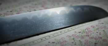 Pavel Bolf - Sunobi tanto in the style of the Mino school, blade detail