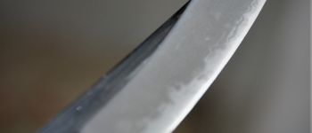 Pavel Bolf - O-wakizashi, tensho koshirae, kissaki