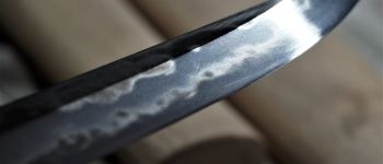 Pavel Bolf - Kaiken tanto