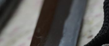 Pavel Bolf - Tanto in aikuchi koshirae