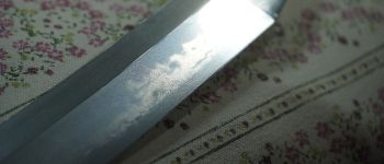 Pavel Bolf - katana v Sóshu stylu