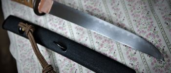 Pavel Bolf - Sunobi tanto in the style of the Mino school