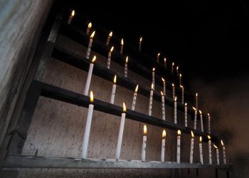 Pavel Bolf, way to Japan