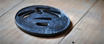 Pavel Bolf - Katana in tensho koshirae, Tsuba