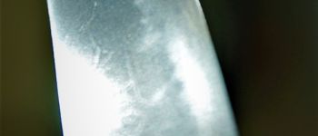 Pavel Bolf - Wakizashi shoto