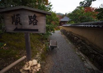 Pavel Bolf, way to Japan