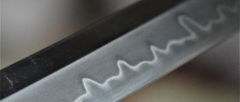 Pavel Bolf - Katana sunobe for tameshigiri, blade detail